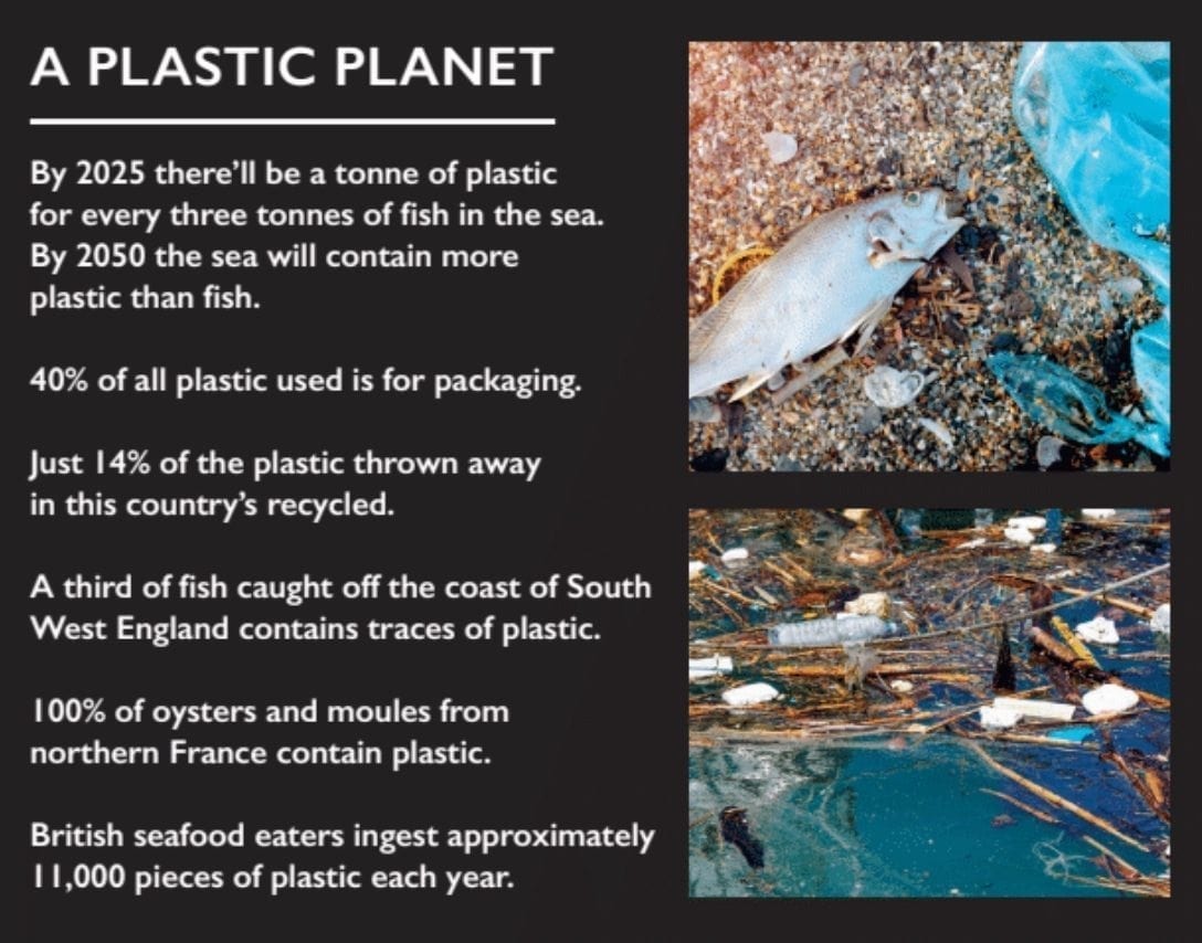 A Plastic Planet