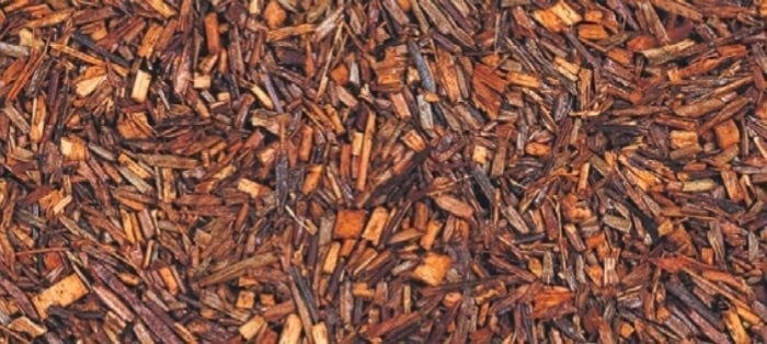 Rooibos