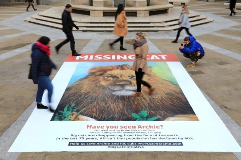 Archie the lion