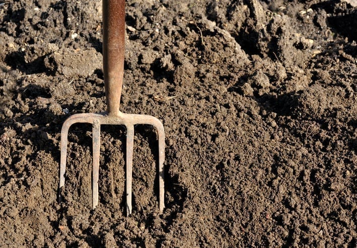 Are we still digging for victory?