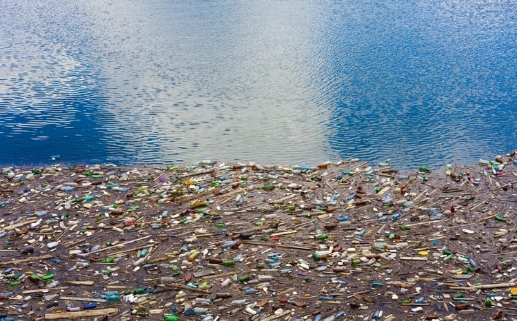 Microplastics may break down into nano particles