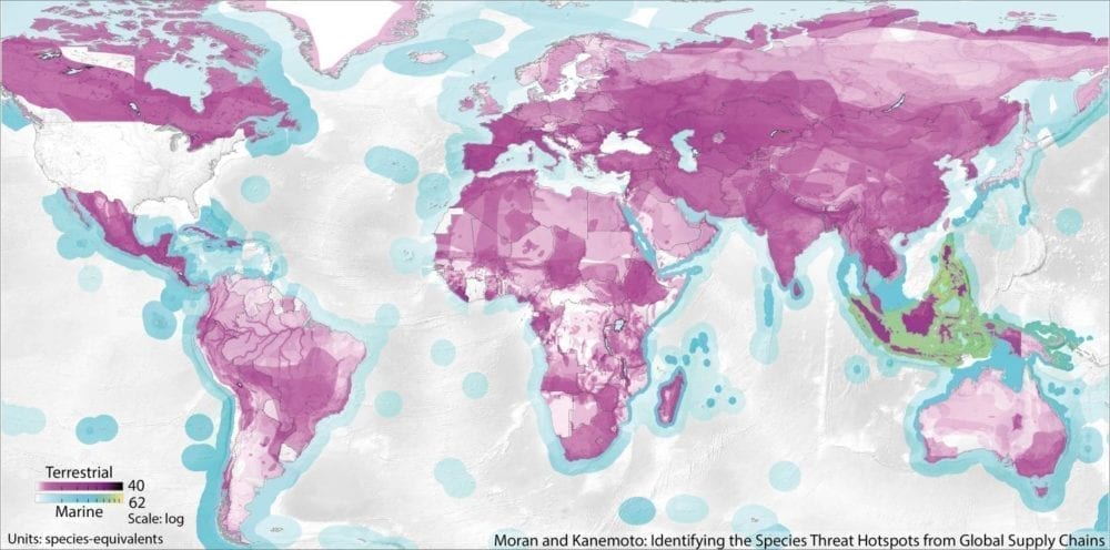 Big data and endangered species