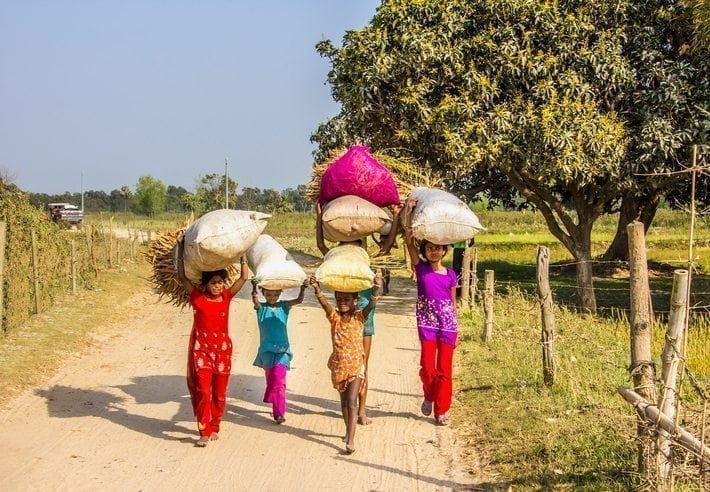 Climate change and nutrition