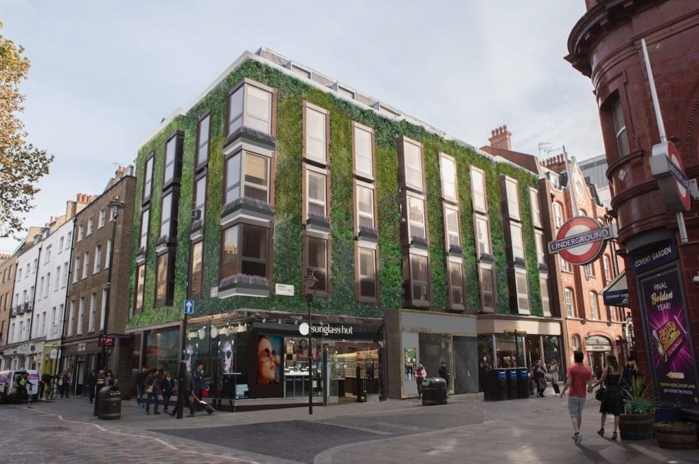 Covent Garden Living Wall