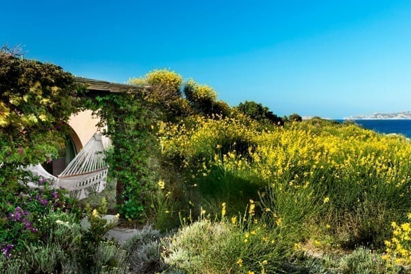 Delphina Hotels & Resorts
