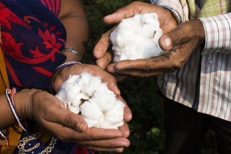 Fairtrade cotton