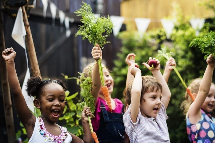 Getting food on the National Curriculum