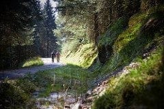 Forest Holidays, Ardgartan