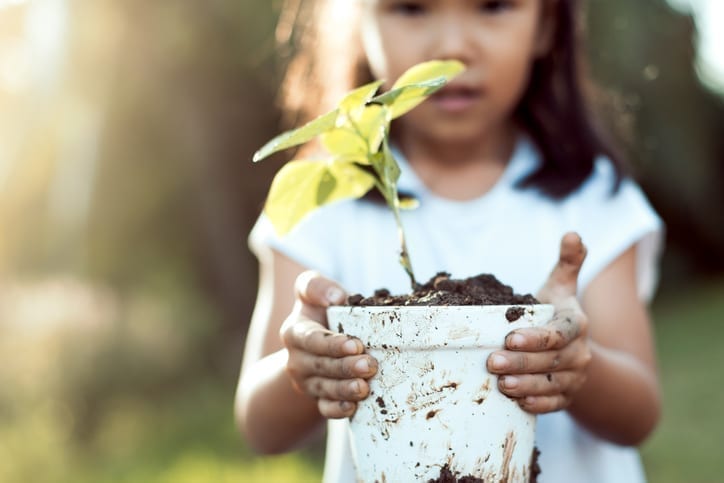 Citizen-led tree-planting could help stop deforestation