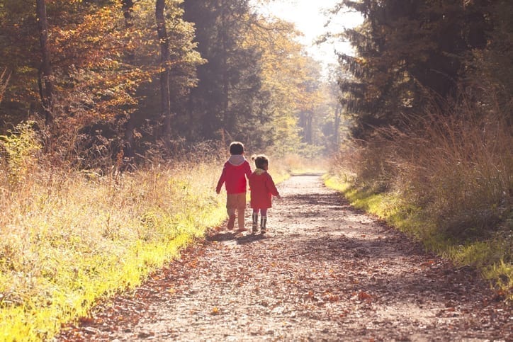 International Day of Forests 2019