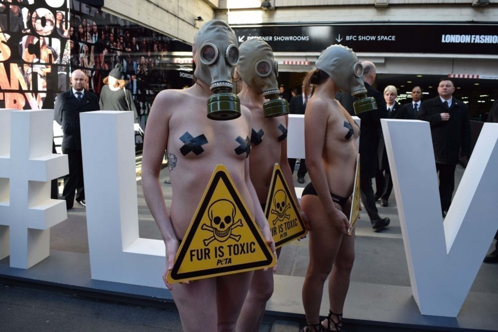 Toxic Clothes Picture from MyGreenPod Sustainable News