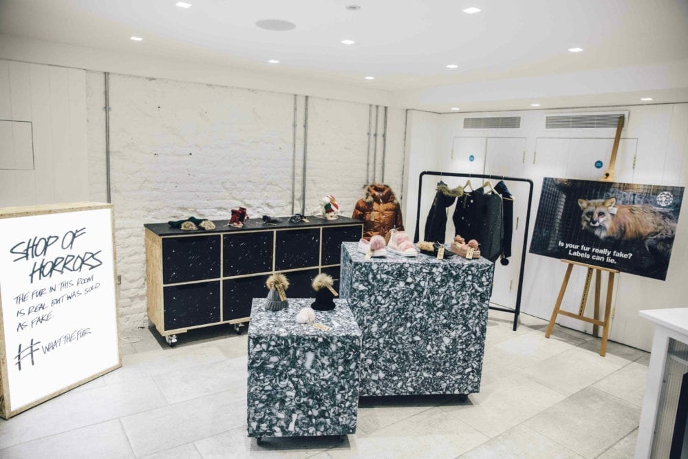Lush #WhatTheFur?! campaign