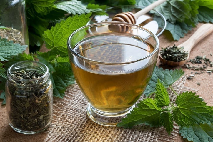 Why we need to stop neglecting nettles