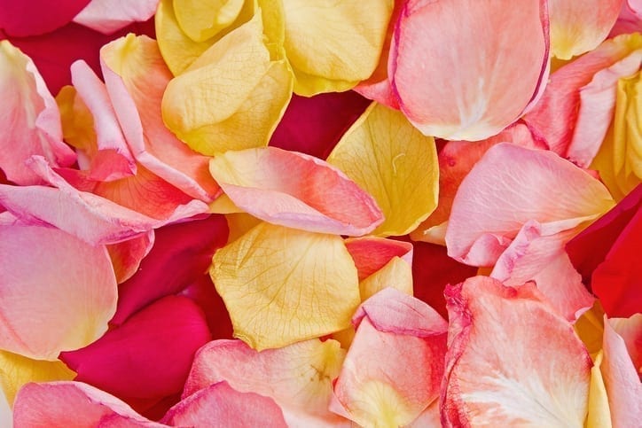 Organic Beauty & Wellbeing Week