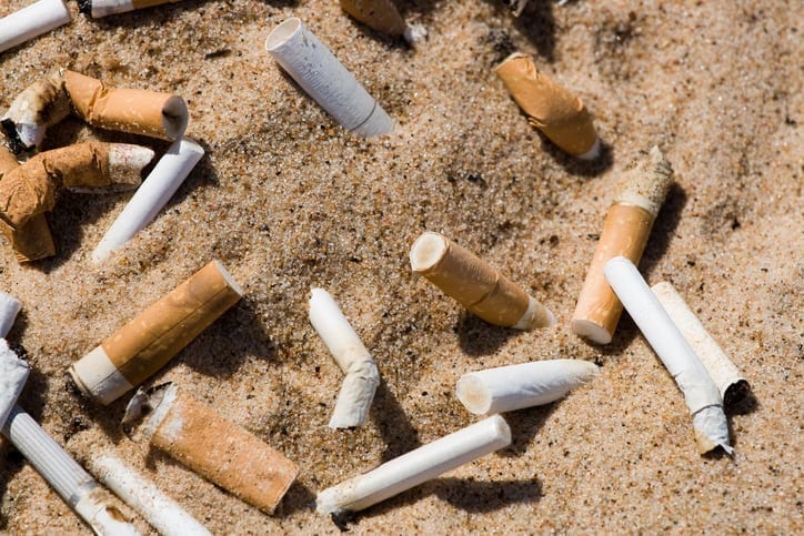 Plastic dominates global beach clean