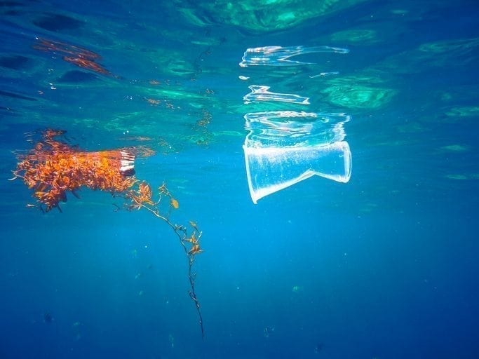 Prince Charles helps tackle plastic pollution