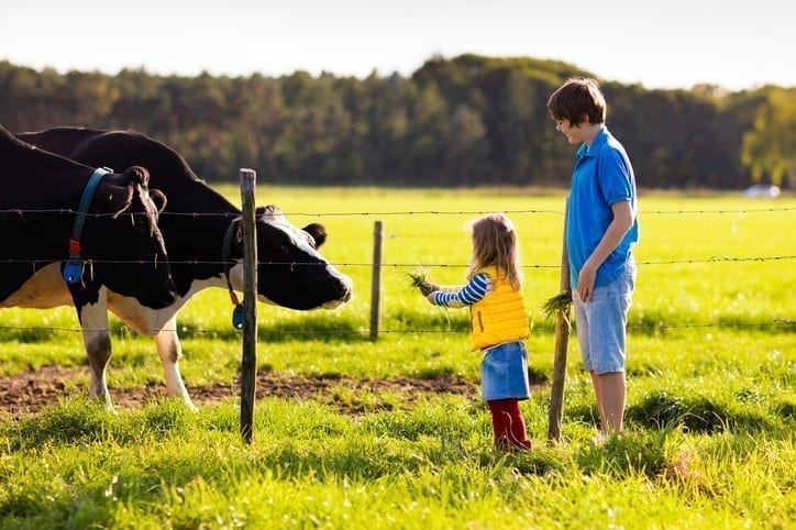 Protecting against allergies