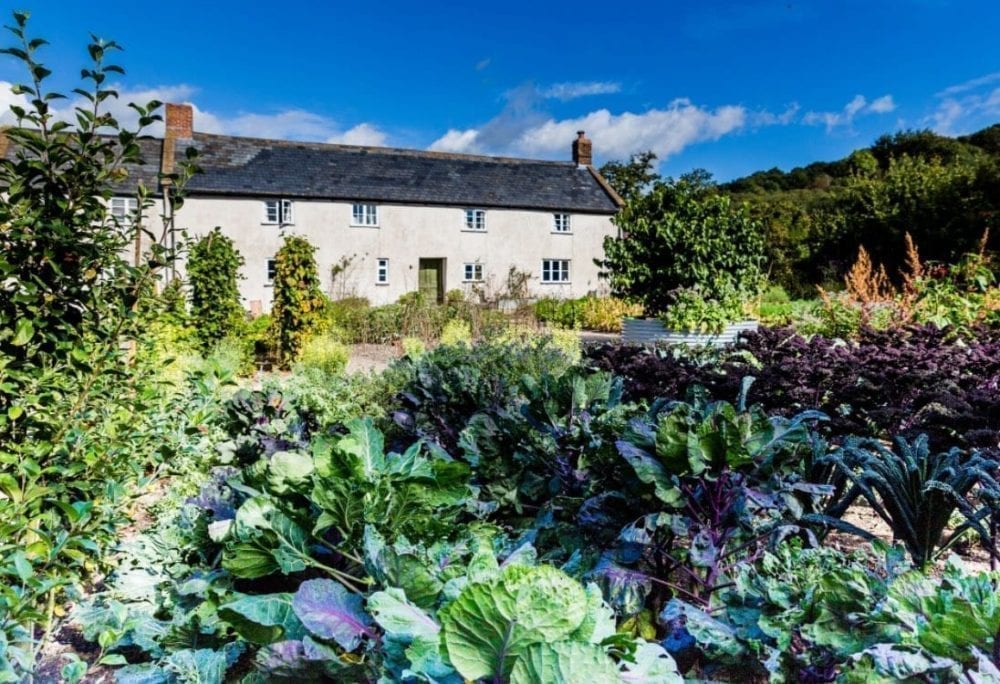 Foraging at River Cottage