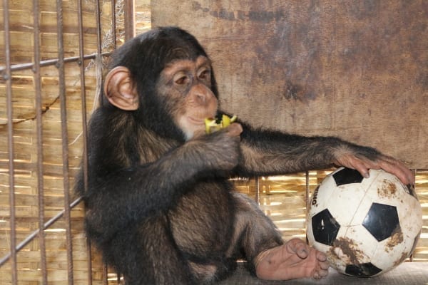Simon with his football