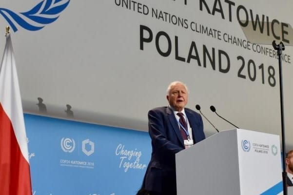 Act now, says Sir David Attenborough
