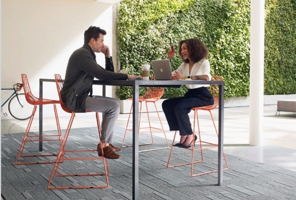 The Biophilic Office