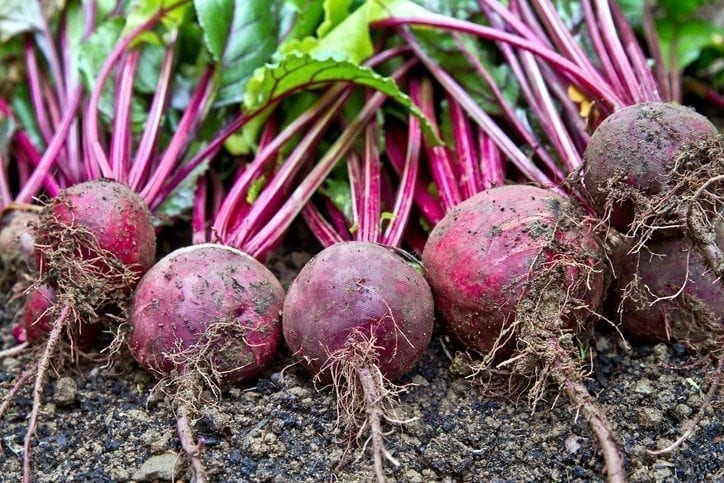 The benefits of organic