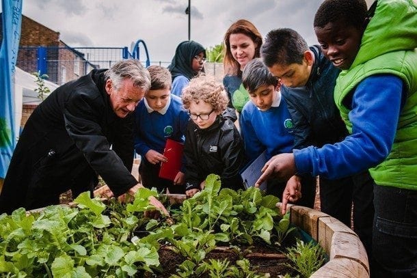 Trees For Cities Edible Playground Picture from MyGreenPod Sustainable News
