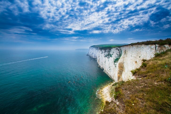 UK marine life is on the move