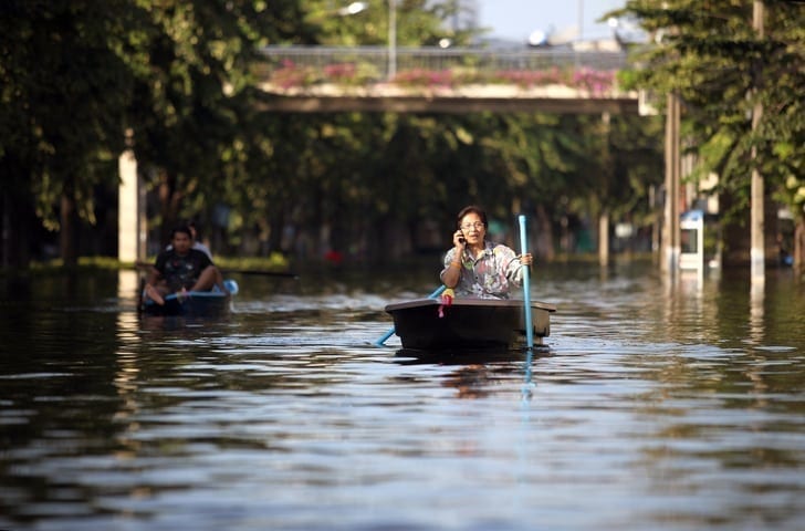 Uprooted by climate change