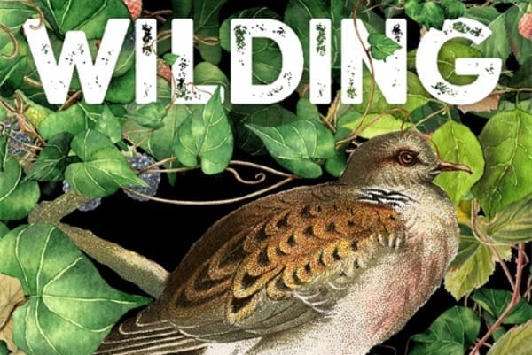 Wilding by Isabella Tree