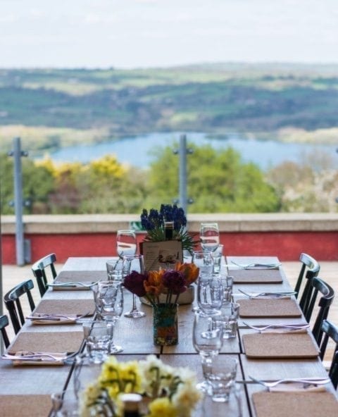Yeo Valley Canteen at Yeo Valley HQ