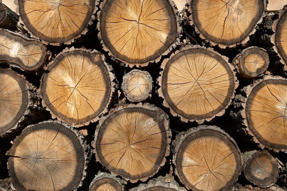 Logs Picture from MyGreenPod Sustainable News