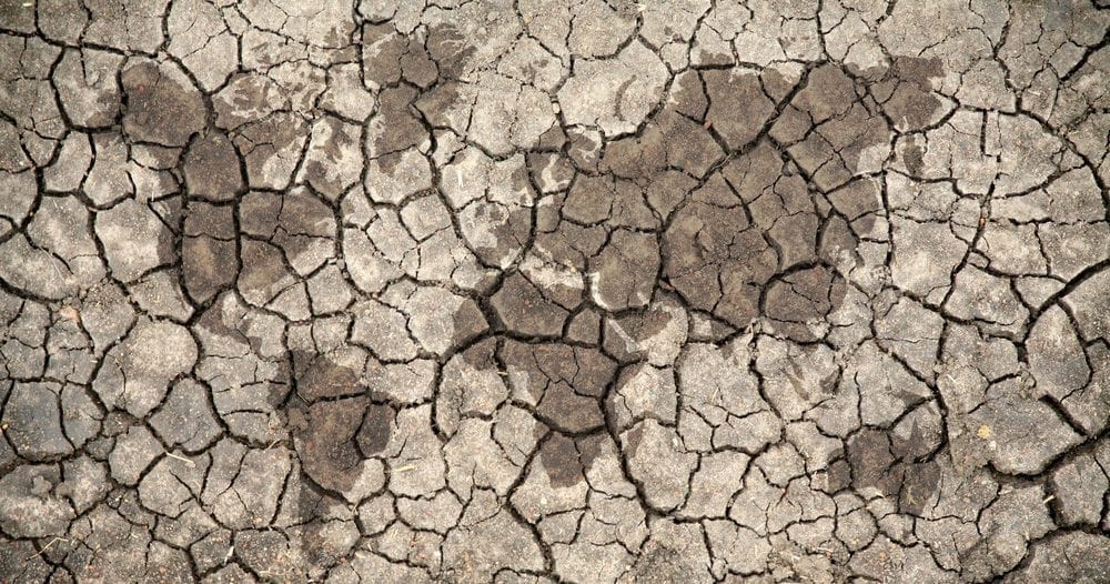 Countries ranked in CCPI Picture from MyGreenPod Sustainable News