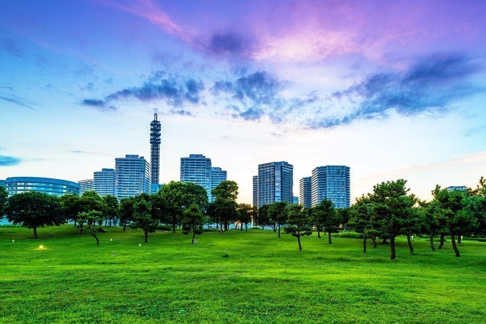 Grass and Sky Picture from MyGreenPod Sustainable News