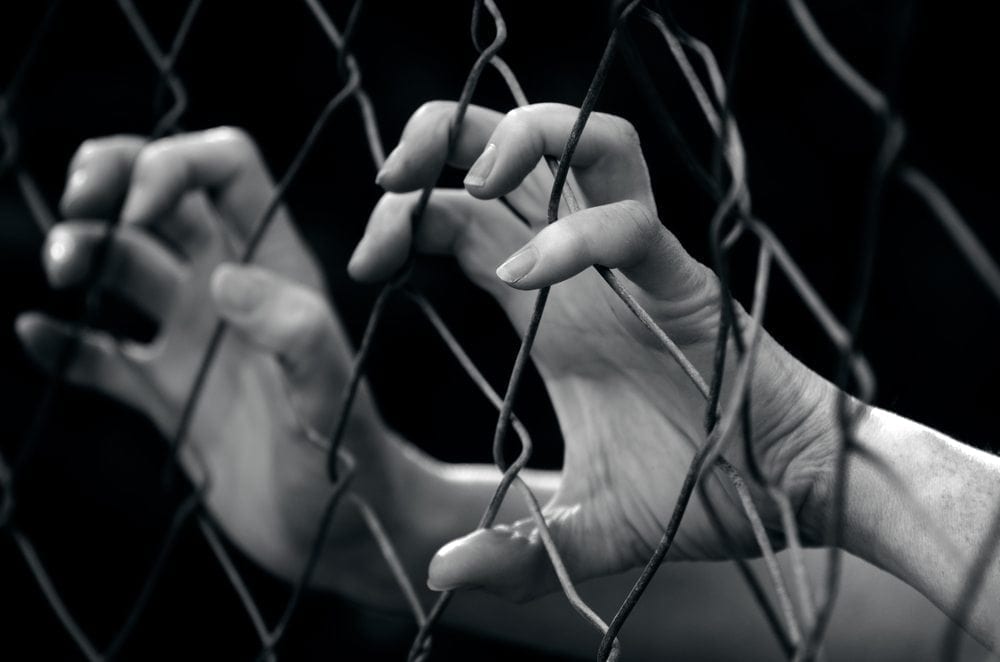 Fence and Hands Picture from MyGreenPod Sustainable News