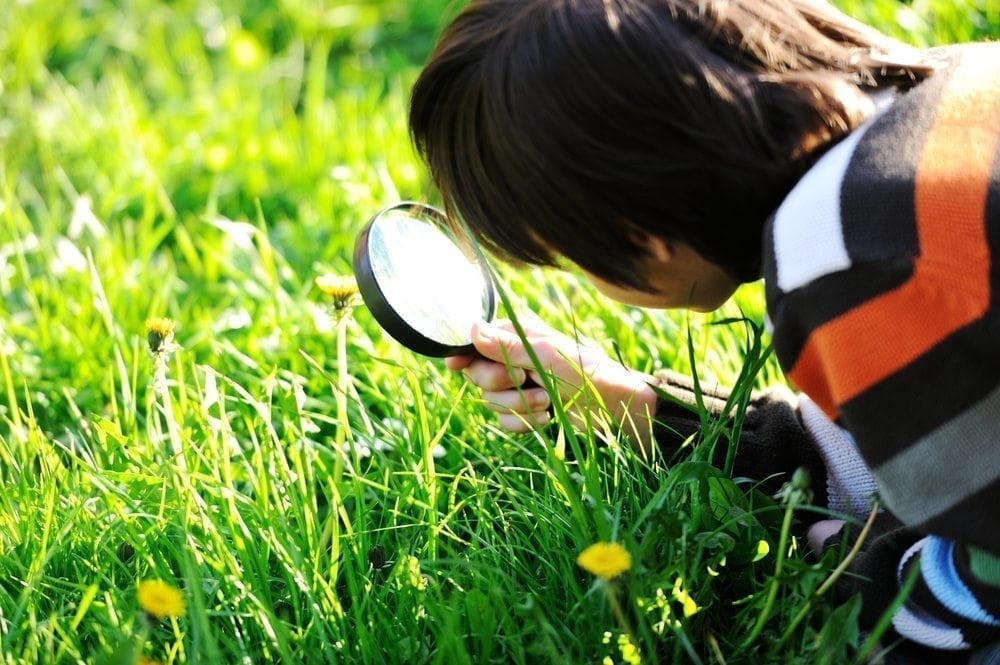 Lessons from Nature