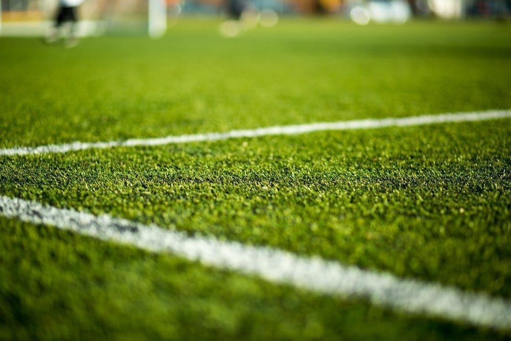 Grass Picture from MyGreenPod Sustainable News