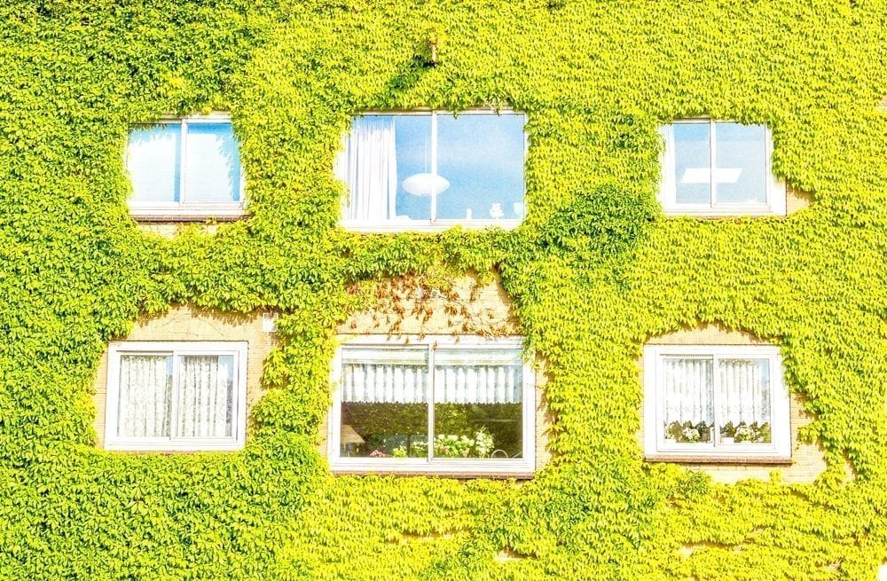 Net zero buildings