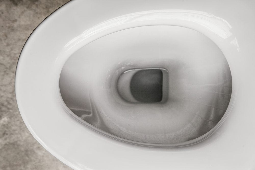 Toilet Picture from MyGreenPod Sustainable News