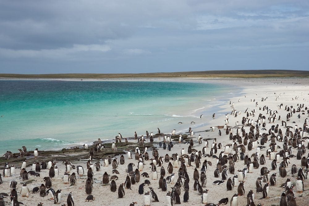 Protection for UK waters