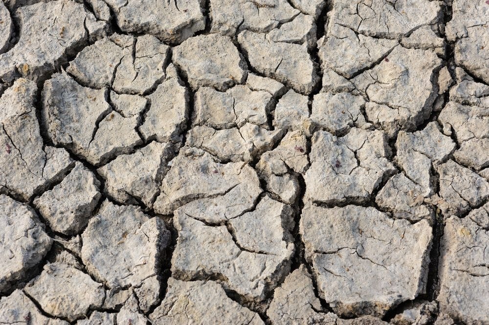 rock Picture from MyGreenPod Sustainable News