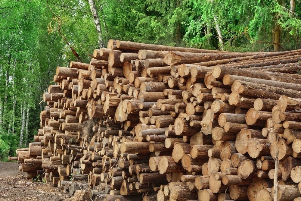 Logging in the Congo Picture from MyGreenPod Sustainable News