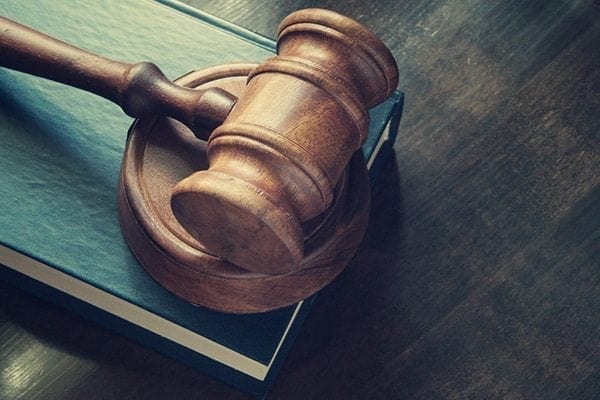 Post-Brexit human rights legislation must include protections for vegans
