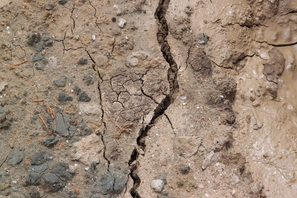 2016: the hottest year ever?