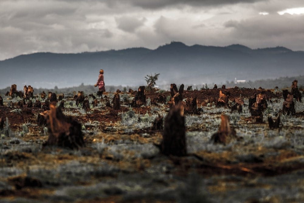 Restoration pledges in Africa