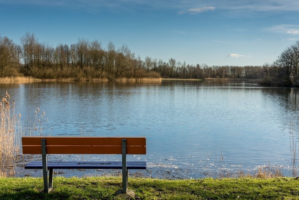 Benefits of 'green care' Picture from MyGreenPod Sustainable News