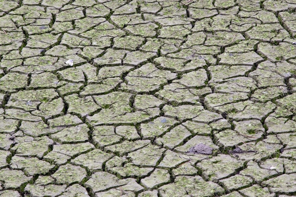 Natural capital and the Budget. Picture from MyGreenPod Sustainable News