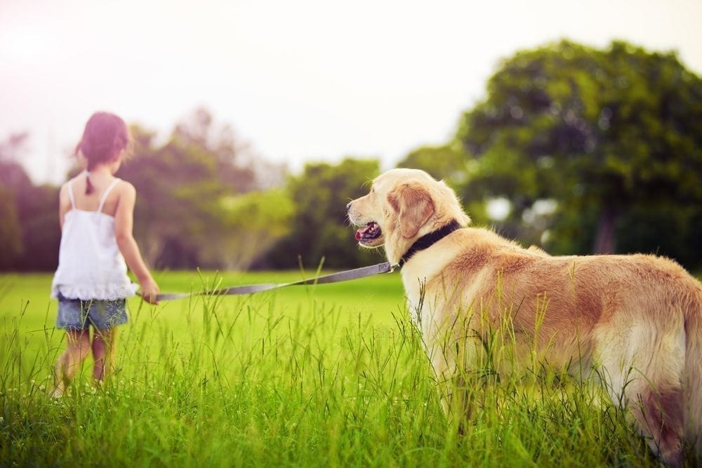 Dog and Child Picture from MyGreenPod Sustainable News
