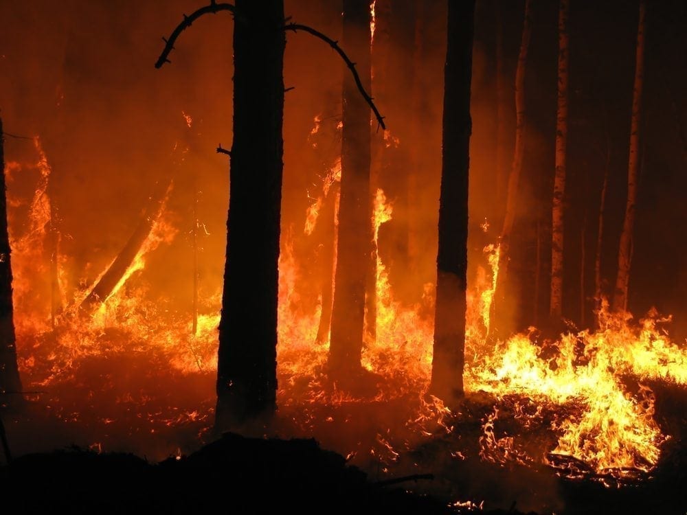 Fire Picture from MyGreenPod Sustainable News