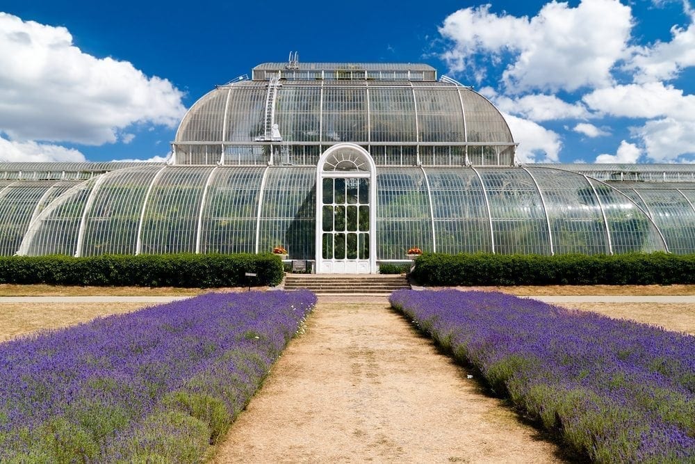 Kew’s first Science Festival